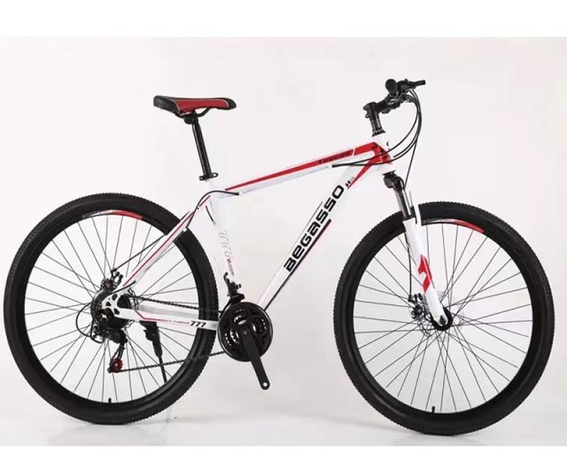 Električni trotineti, skuteri, bicikla - BEGASSO MTB BGS-260 Bicikl 29’’ bijeli - Avalon ltd